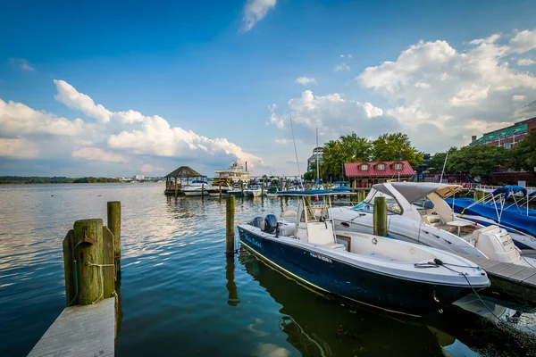 Docks en boten aan de waterkant van de Potomac rivier, in Alexandrië, — Stockfoto