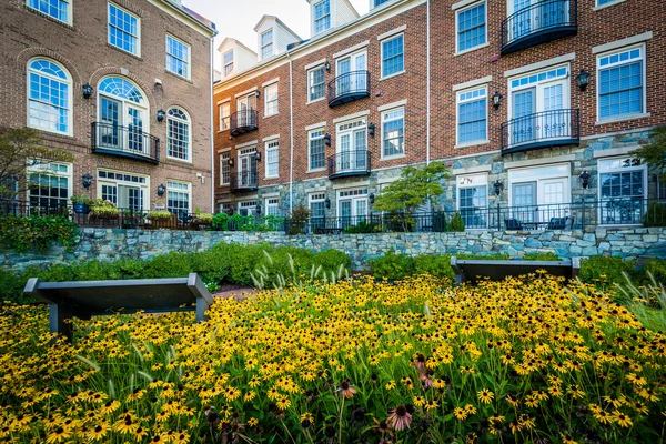 Flowers and apartment buildings in Alexandria, Virginia. — Stock Photo, Image