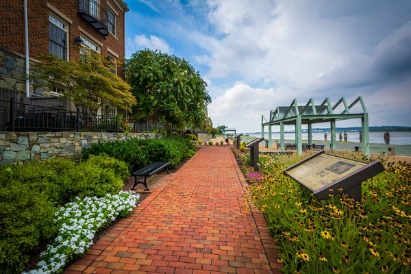 Gärten und Wohngebäude entlang des Potomac-Flusses waterfron — Stockfoto