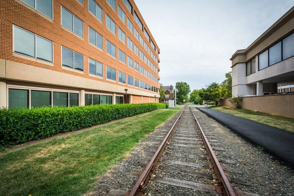 Railroad tracks and buildings in Alexandria, Virginia. — Stock Photo, Image