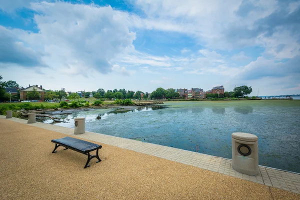 El río Potomac, en Alejandría, Virginia . — Foto de Stock