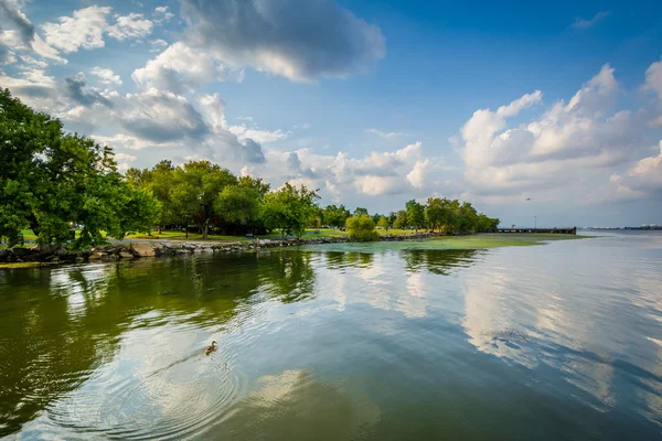 Floden Potomac, i Alexandria, Virginia. — Stockfoto