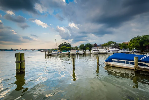 Potomak w Alexandria w stanie Wirginia. — Zdjęcie stockowe