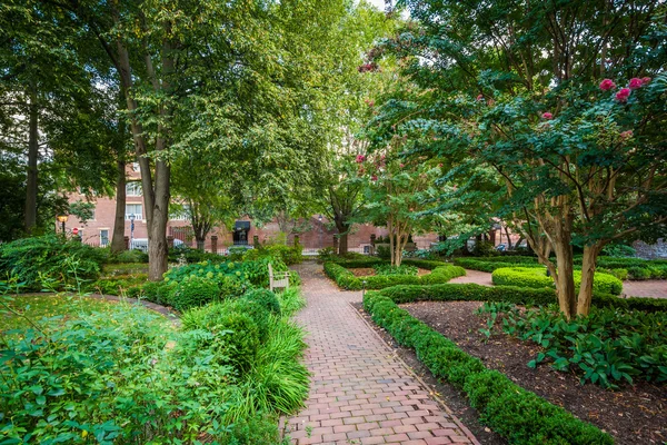 Walkway in a park behind the Carlyle House, in the Old Town of A — Stock Photo, Image