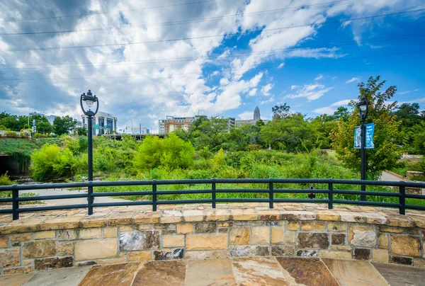 Elizabeth Park, in Elizabeth, Charlotte (North Carolina). — Stockfoto