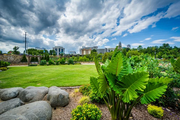 Gardens at Elizabeth Park, in Elizabeth, Charlotte, North Caroli — Stock Photo, Image