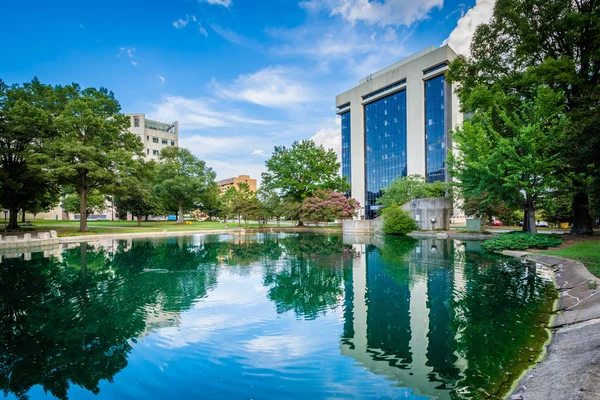 Modern buildings and lake at Marshall Park, in Uptown Charlotte, — Stock Photo, Image