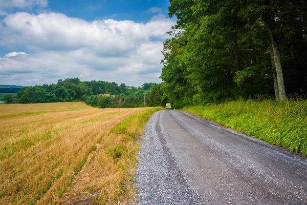 Onverharde weg en velden in landelijke Baltimore County, Maryland. — Stockfoto