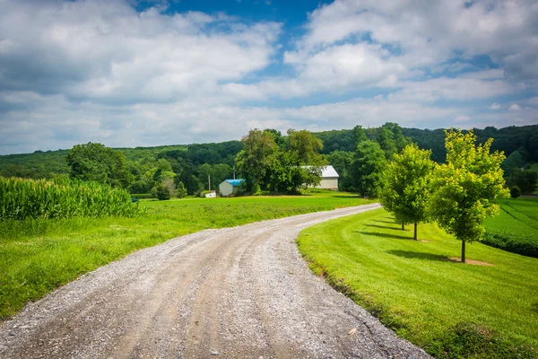 Grusväg och fält i landsbygdens Carroll County, Maryland. — Stockfoto