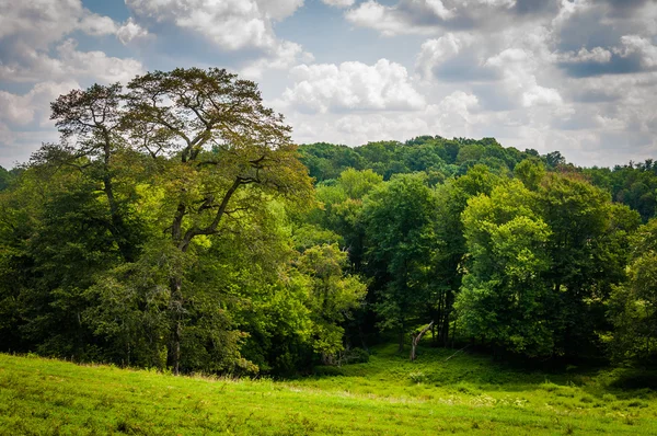 フィールドと農村ボルティモア郡、メリーランド州の木. — ストック写真