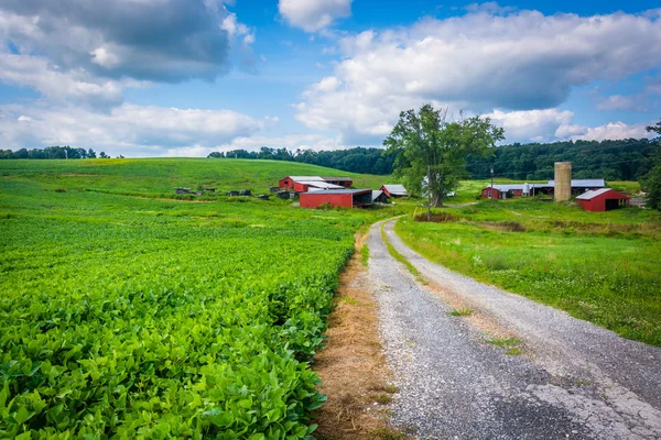 Carretera y granja en el condado rural de Baltimore, Maryland . —  Fotos de Stock