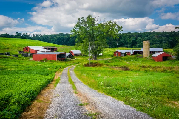 Weg en boerderij in landelijke Baltimore County, Maryland. — Stockfoto