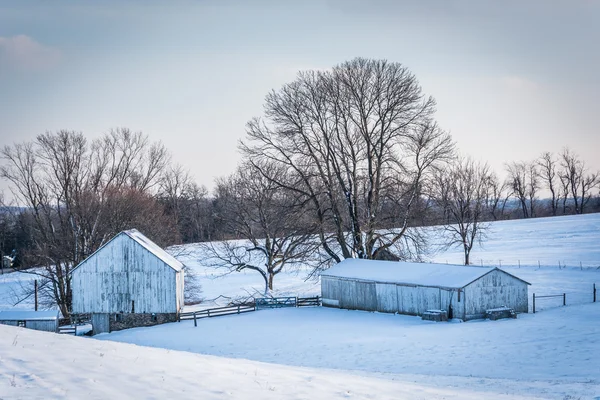 Snow-covered farm in rural Carroll County, Maryland. — Stock Photo, Image