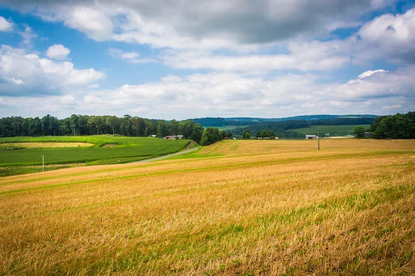 Weergave van velden in landelijke Baltimore County, Maryland. — Stockfoto