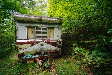 Terk edilmiş kırsal Shenandoah Vadisi ormanda karavanda, 