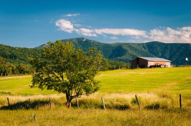Ağaç ve Shen Blue Ridge Mountains manzaralı çiftlik