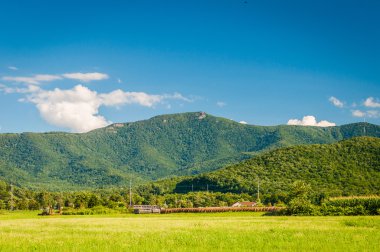 Kırsal Shenandoah Vadisi Blue Ridge Mountains görünümünü 