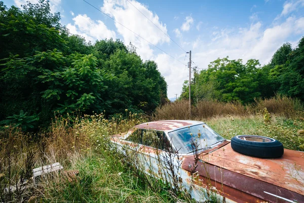 Opuszczony, zardzewiały samochód w wiejskich Shenandoah Valley, Virginia. — Zdjęcie stockowe