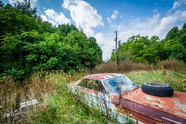 Opuszczony, zardzewiały samochód w wiejskich Shenandoah Valley, Virginia. — Zdjęcie stockowe