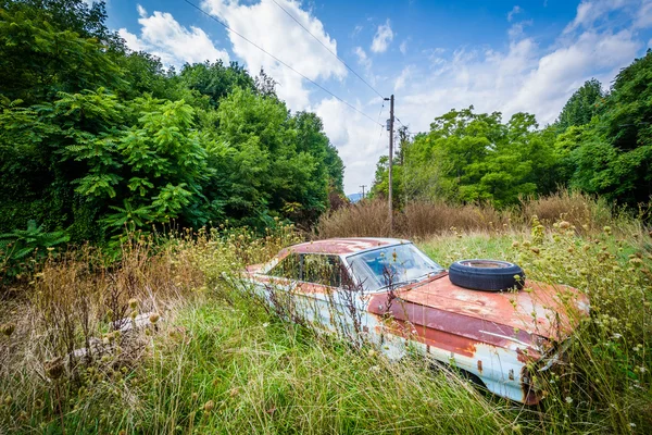 Carro abandonado e enferrujado no vale rural de Shenandoah, Virgínia . — Fotografia de Stock