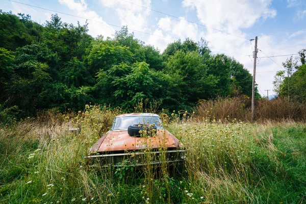 Auto abbandonata e arrugginita nella valle rurale di Shenandoah, Virginia . — Foto Stock