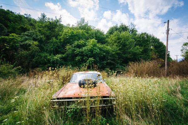 Voiture abandonnée et rouillée dans la vallée rurale de Shenandoah, Virginie . — Photo