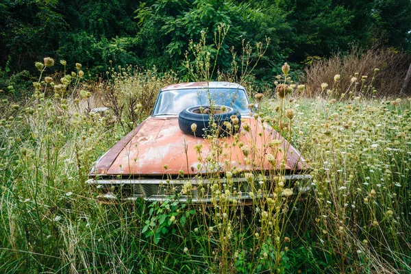 Un coche abandonado y oxidado en el valle rural de Shenandoah, Virginia . — Foto de Stock