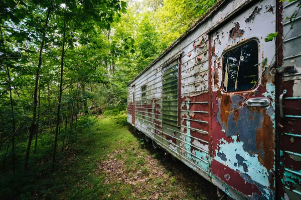 Remorque abandonnée dans les bois, dans la vallée rurale de Shenandoah , — Photo