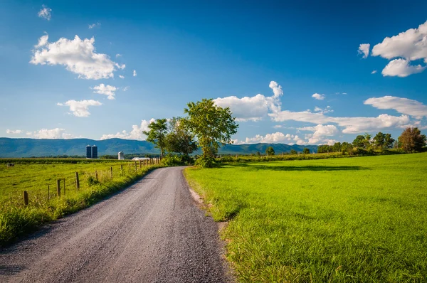 Campos de tierra y campos agrícolas en el valle rural de Shenandoah de Virg —  Fotos de Stock