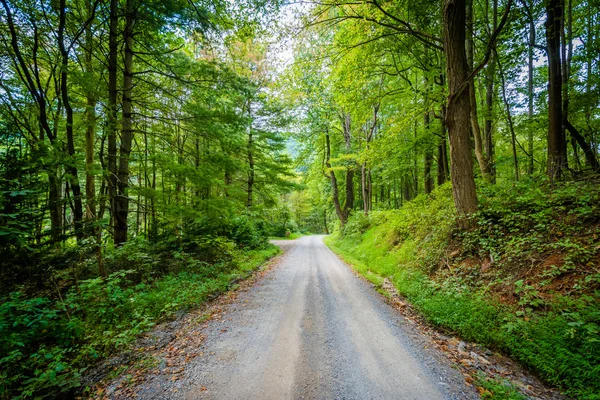 Camino de tierra a través de bosques, en el valle rural de Shenandoah, Virgini — Foto de Stock