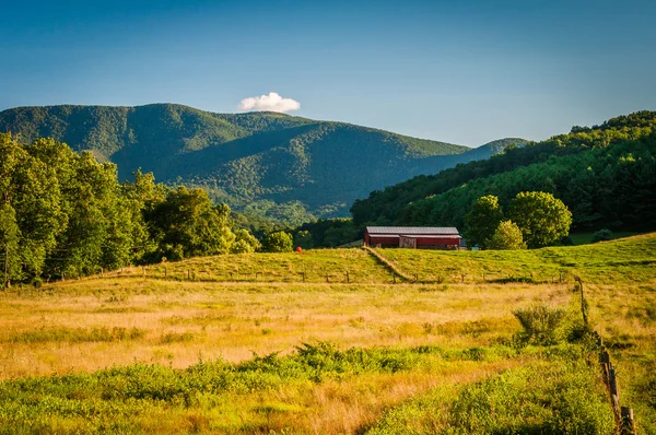 Farm fields and view of distant mountains in the rural Shenandoa — Stock Photo, Image