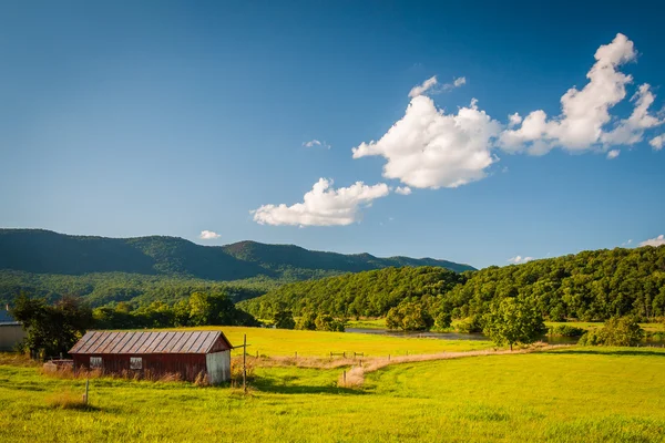 Feld und Blick auf ferne Berge im ländlichen Shenandoah Vall — Stockfoto