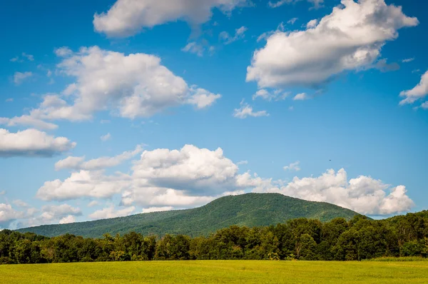 Campo e vista de montanhas distantes no Shenandoah Vall rural — Fotografia de Stock