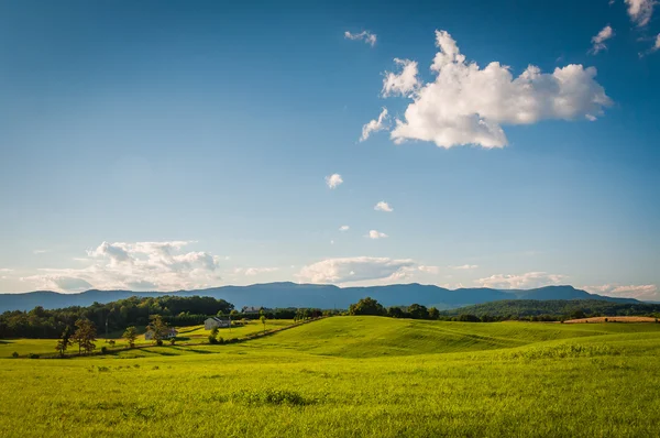 Campos e vista de montanhas distantes no rural Shenandoah Val — Fotografia de Stock