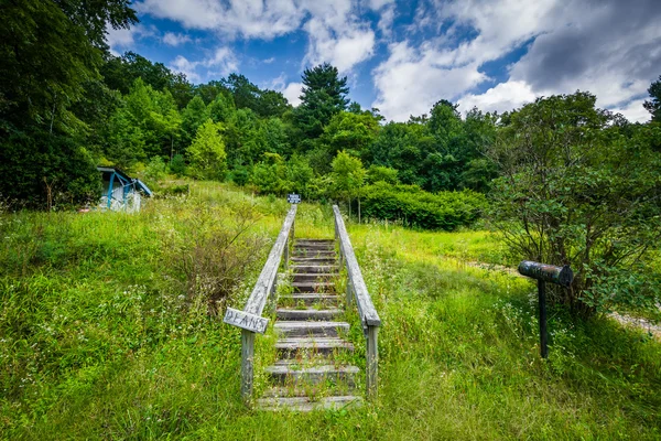 Overgrown hill and staircase in the rural Shenandoah Valley, Vir