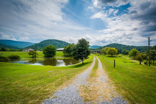 Pond wzdłuż polnej drodze w wiejskich Shenandoah Valley Virgini — Zdjęcie stockowe