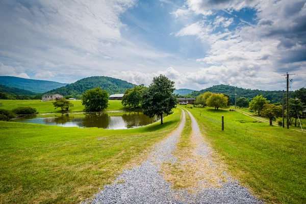 Lagoa ao longo de uma estrada de terra no vale rural de Shenandoah de Virgini — Fotografia de Stock