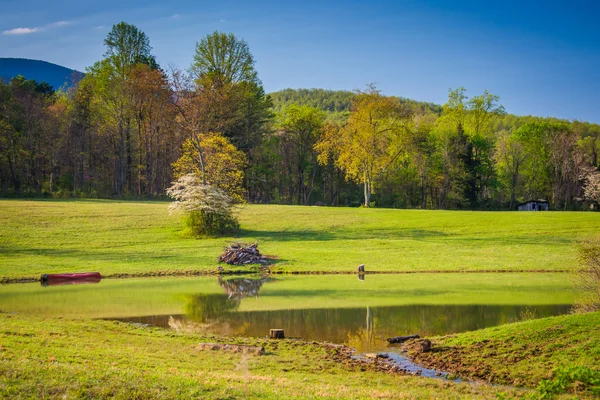 Gölet ve Bahar renk Kırsal Virginia Shenandoah Vadisi — Stok fotoğraf