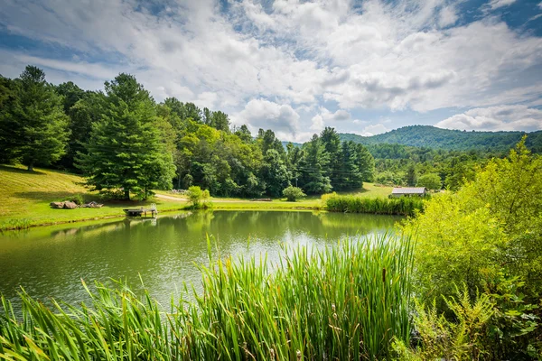 Lagoa no Vale Shenandoah rural da Virgínia . — Fotografia de Stock