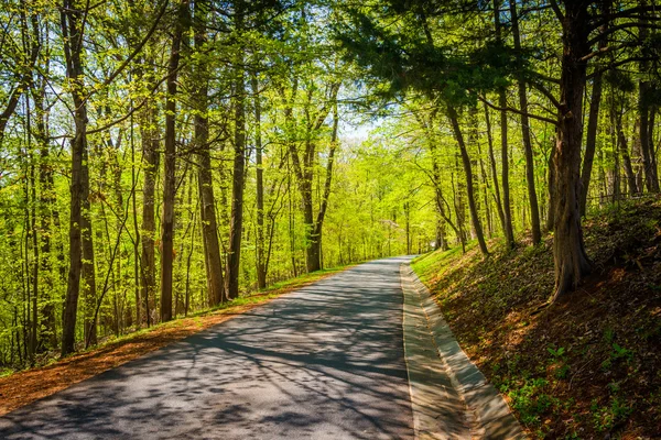 Tavaszi színek végig az út a Vir vidéki Shenandoah Valley — Stock Fotó