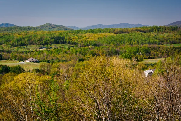 Vista de primavera das Montanhas Apalaches de um mirante na I-6 — Fotografia de Stock