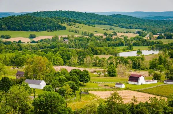 View of farms and hills from Sky Meadows State Park, in the rura — Stock Photo, Image