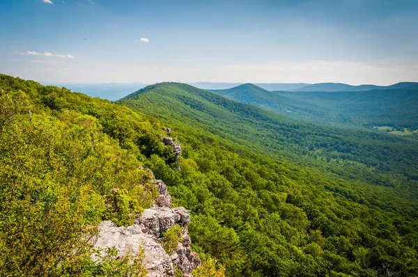 View of the Appalachian Mountains from cliffs on Big Schloss, in — Stock Photo, Image