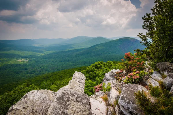 Vista do cume e Vale Apalaches de Tibbet Knob, em G — Fotografia de Stock