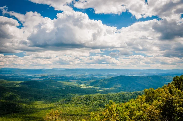 Vista do Vale do Shenandoah e Montanhas Apalaches a partir do — Fotografia de Stock