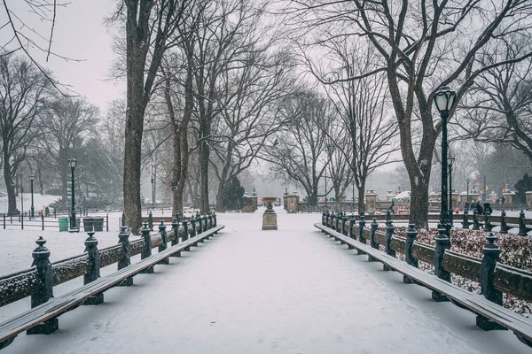 Snowy Walkway Central Park Manhattan New York City — Stok Foto