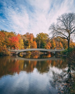 Sonbahar renginde Bow Köprüsü, Central Park, Manhattan, New York