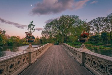 Suyun üzerinde ahşap bir köprü - Central Park 'ta Bow Köprüsü, Manhattan, New York