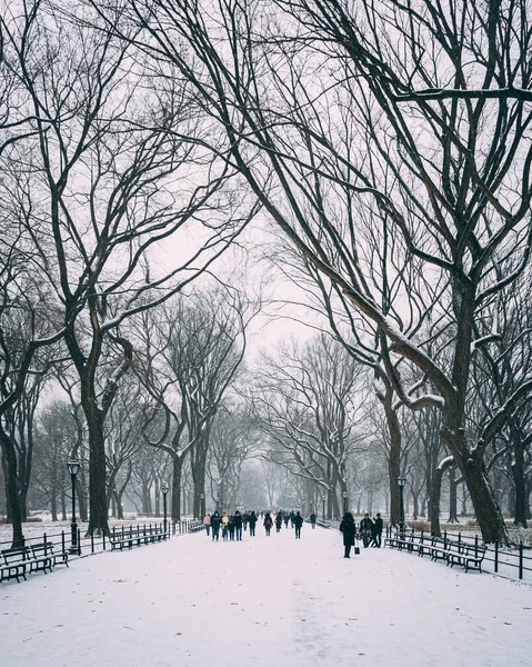 Snowy Gangbro Central Park Manhattan New York - Stock-foto