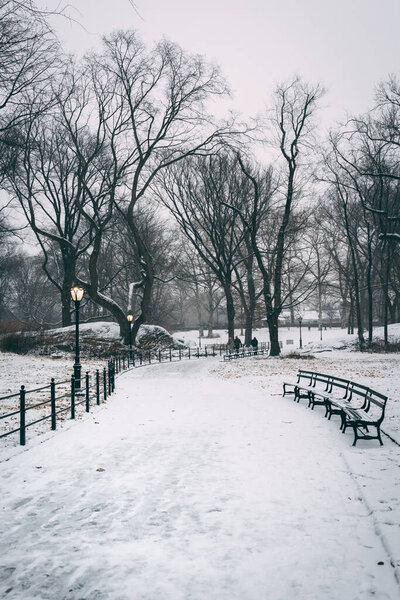 Snowy walkway in Central Park, Manhattan, New York City